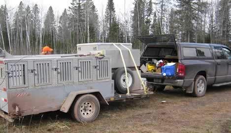 When we go hunting, we all go hunting! Thanks to Gary Gross for the photo taken while hunting in the Northwoods.