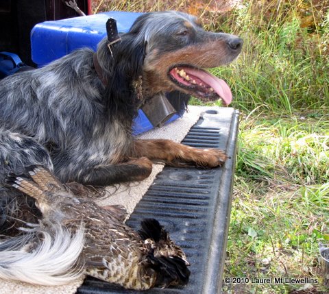 Luke and my first Ruff of 2010