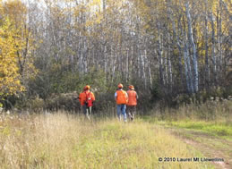 On a trail in the Northwoods.