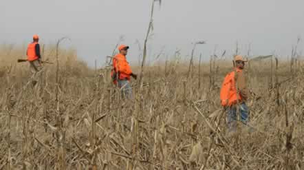 A chukar hunt